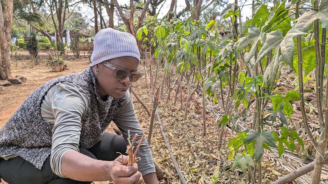 Photo of a woman farming.
