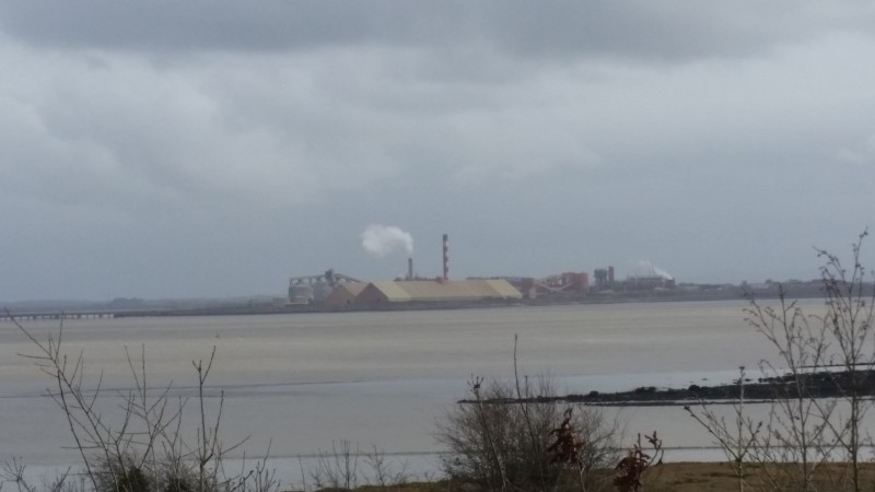EU Sanctions Envoy Pushes for Action Against Rusal’s Irish Alumina Refinery