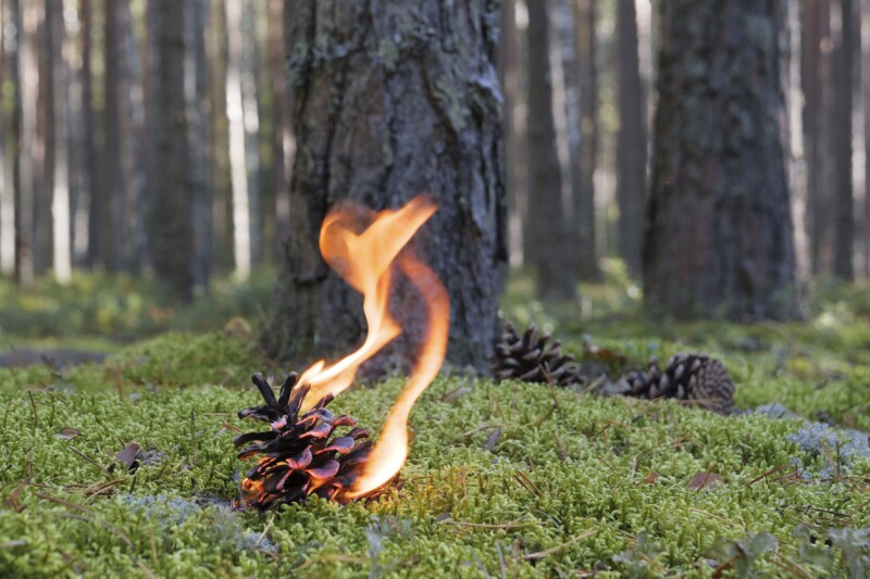 We shouldn’t be surprised about the PHPocalypse, as the internet is built on sticks and glue